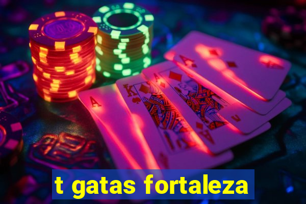 t gatas fortaleza